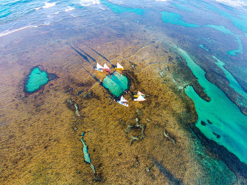 Cavalos Marinhos em Porto de Galinhas