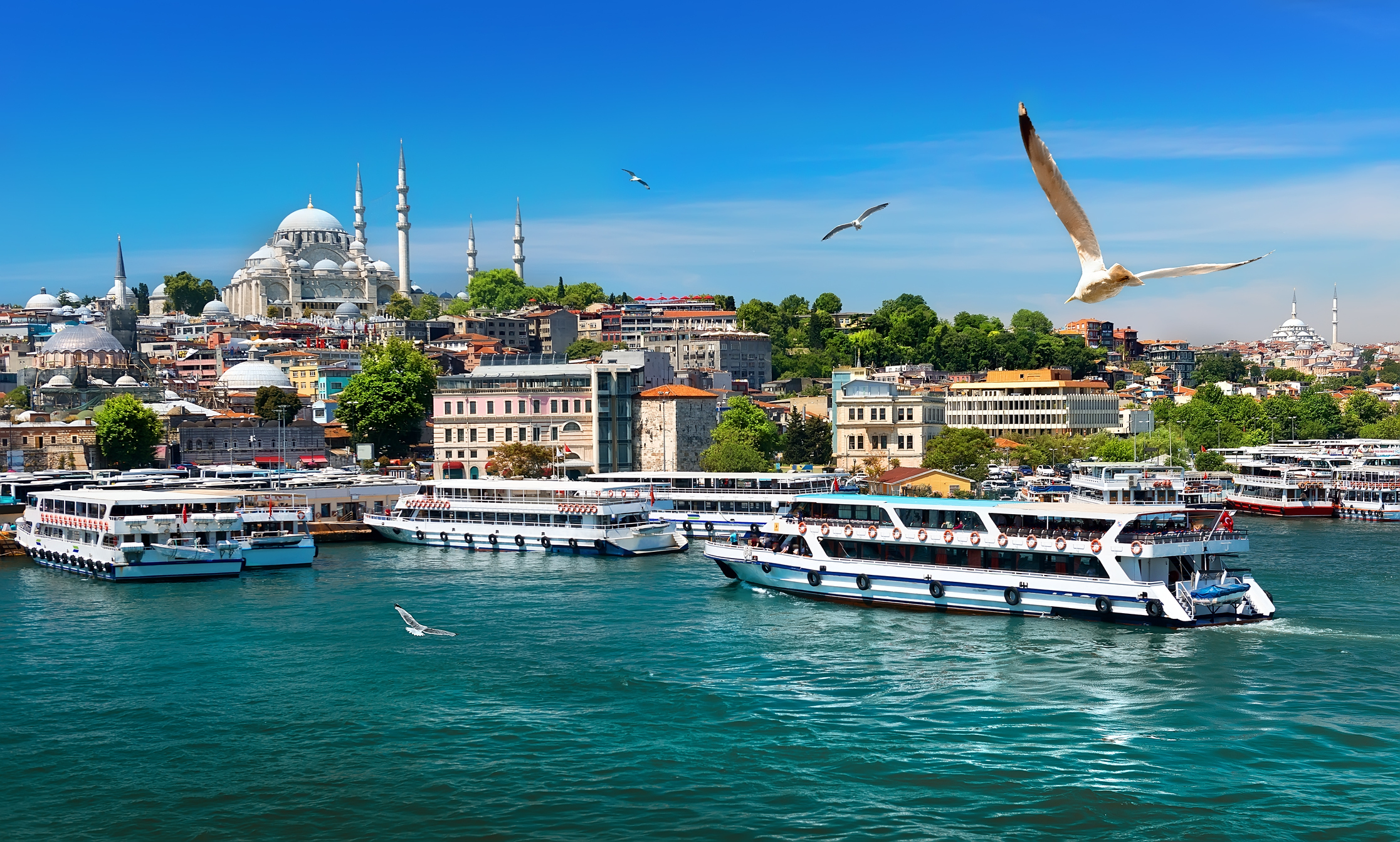 cruise from istanbul