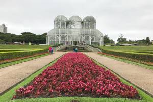 Flores no Jardim Botânico de Curitiba, Paraná, Brasil