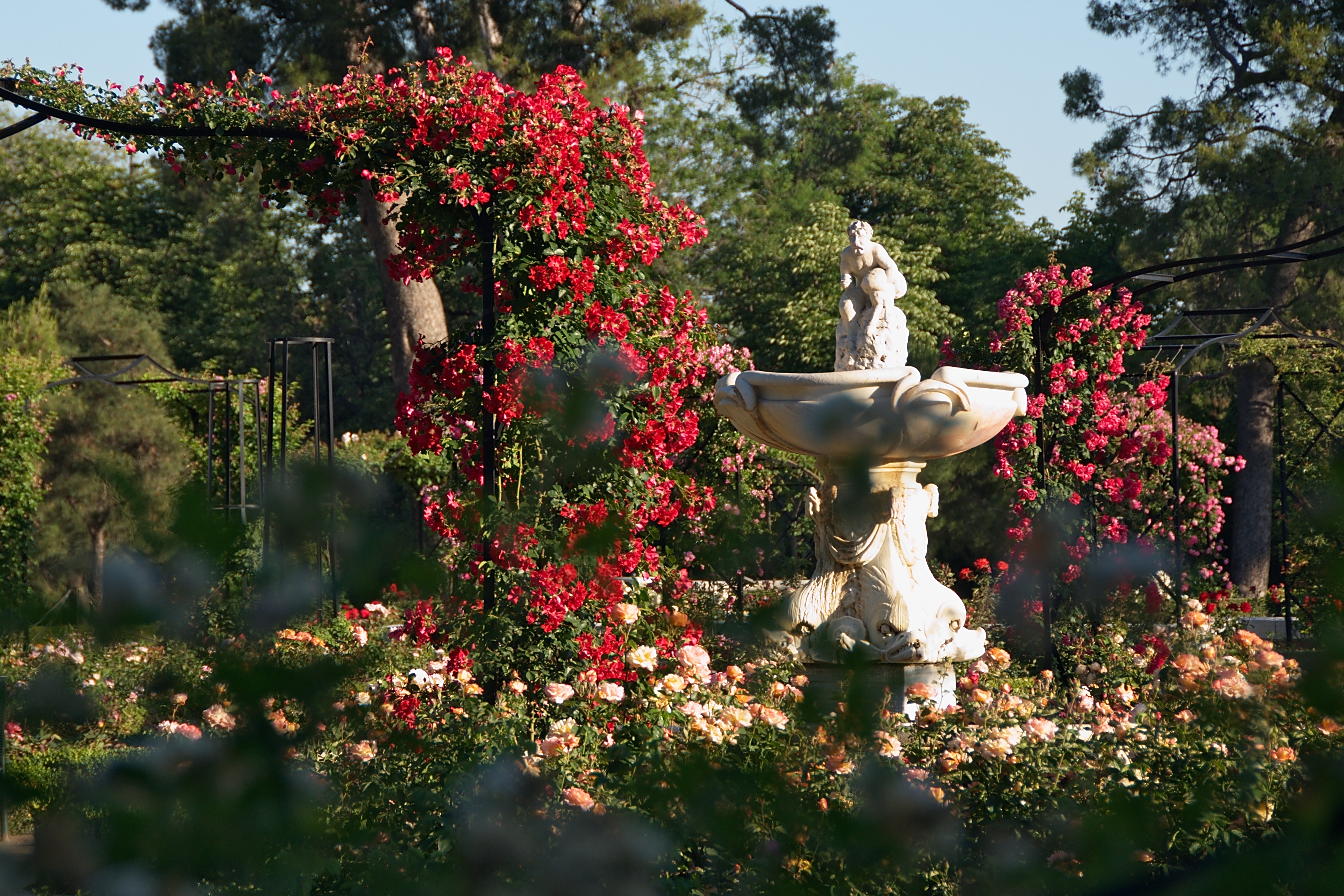 La Rosaleda, no Parque do Retiro, Madri, Espanha