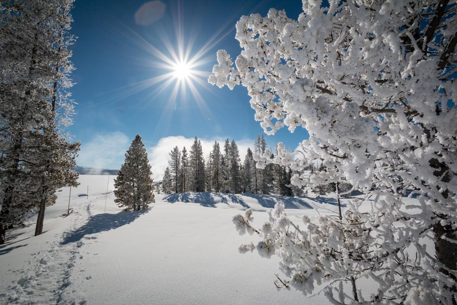 Yellowstone no inverno, onde é possível fazer um passeio de snowmobile