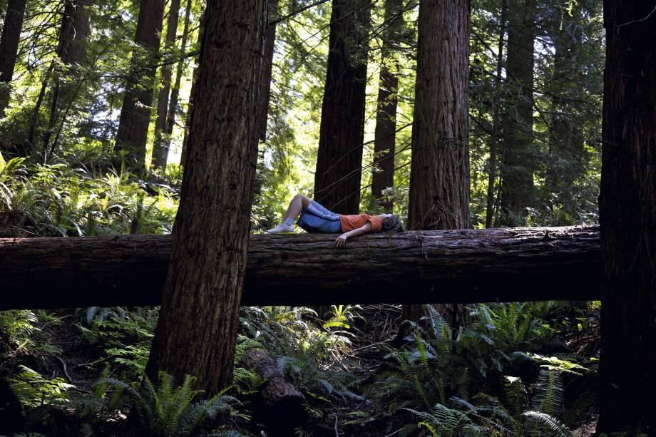 O tamanho das coisas no Forest Park, maior parque urbanizado do mundo O tamanho das coisas no Forest Park, maior parque urbanizado do mundo