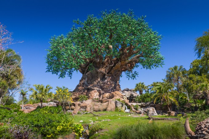 Tree of Life – Árvore da Vida no Animal Kingdom, Disney dos Estados Unidos