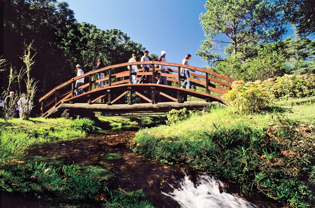Ponte sobre um riacho no Horto Florestal
