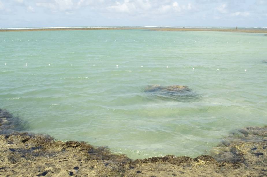 Piscina natural no Pontal de Maracaípe, em Porto de Galinhas