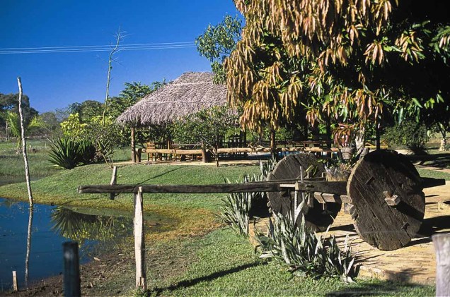 Carro de Boi na Pousada Araras Eco Lodge, no Pantanal Norte