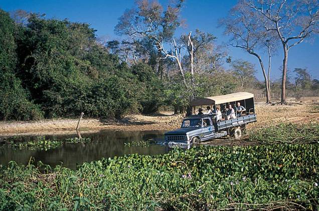 "Safari", passeio organizado pela Pousada Araras Eco Lodge, no Pantanal Norte "Safari", passeio organizado pela Pousada Araras Eco Lodge, no Pantanal Norte