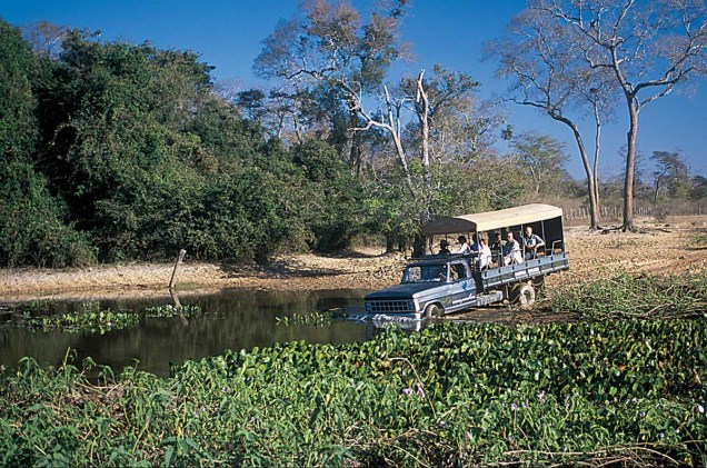 "Safari", passeio organizado pela Pousada Araras Eco Lodge, no Pantanal Norte