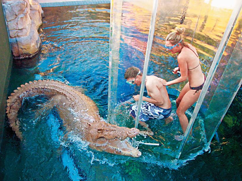 No Parque Crocosaurus Cove, em Darwin, o visitante pode ver crocodilos bem de perto ao mergulhar em um compartimento que fica no tanque dos animais No Parque Crocosaurus Cove, em Darwin, o visitante pode ver crocodilos bem de perto ao mergulhar em um compartimento que fica no tanque dos animais