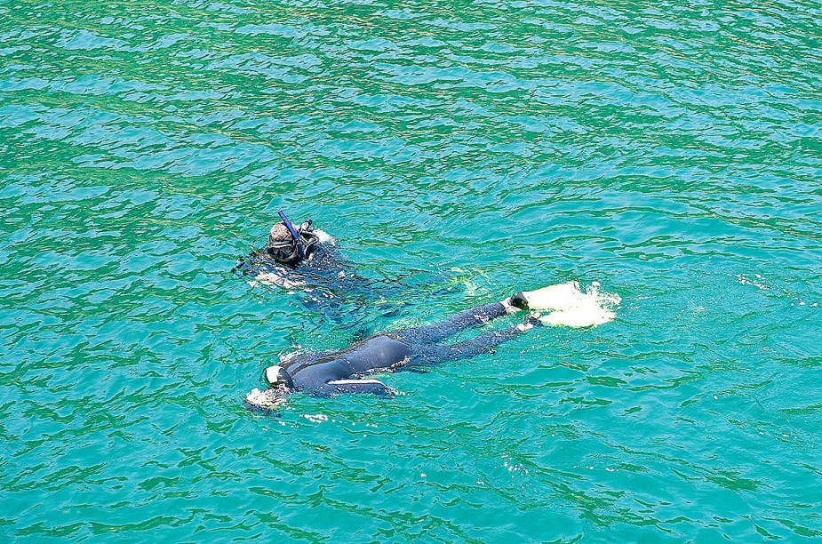 Mergulho com snorkel na Ilha do Arvoredo