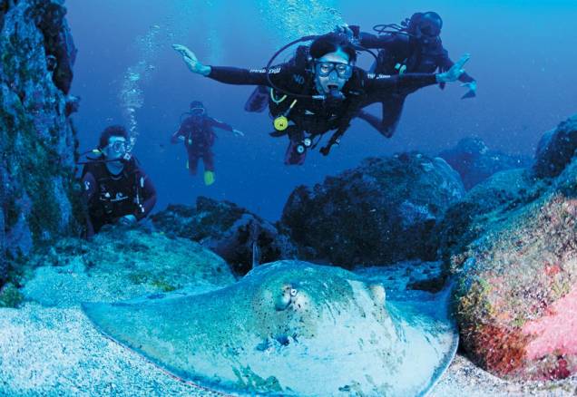 Mergulhadores e arraia na Caverna da Sapata Mergulhadores e arraia na Caverna da Sapata