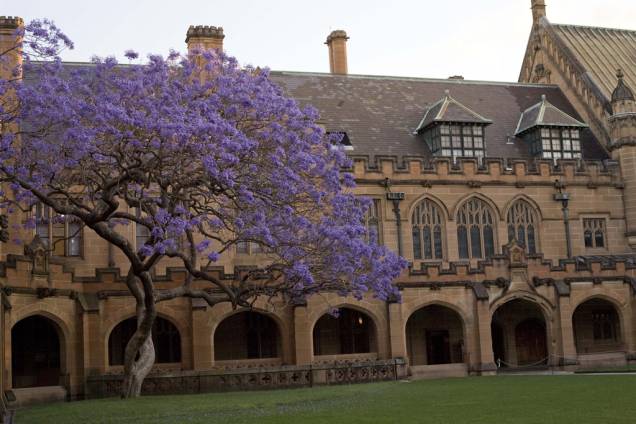 Campus da Universidade de Sydney