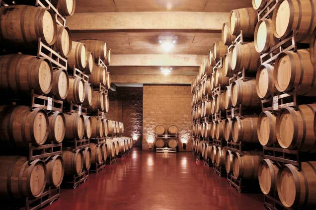 As vinícolas de Mendoza abrem suas portas para visitas guiadas. Além de conhecer as adegas, onde o vinho descansa por meses em enormes tonéis, dá para degustar os diferentes tipos da bebida