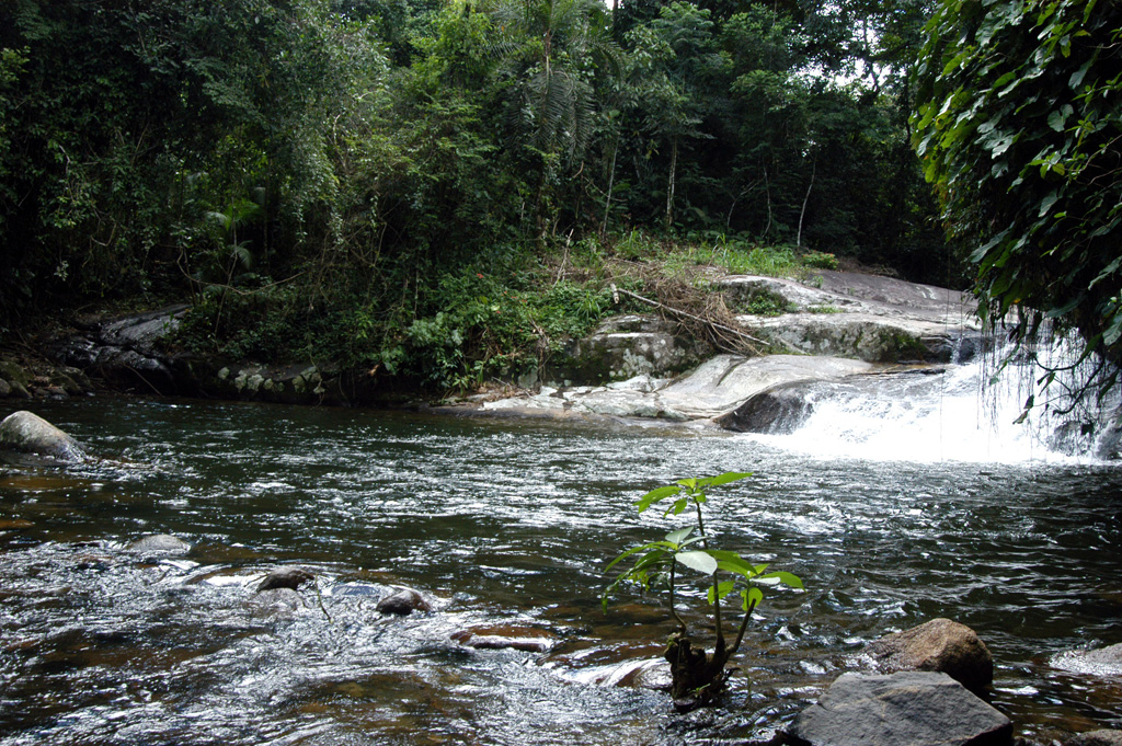 Cachoeira Poço do Tarzan, em Paraty