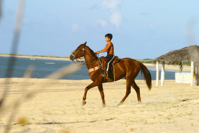 Menino andando de cavalo na praia de São Miguel do Gostoso