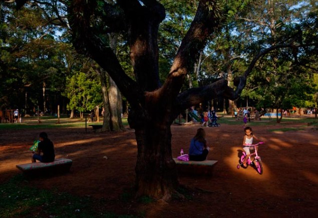 Uma menina se diverte sozinha com sua bicicleta rosa no Parque do Ibirapuera, em São Paulo. Apenas a China, com sua política de filho único, mostra queda tão drástica na taxa de natalidade. A diferença? No Brasil, o declínio foi uma escolha das mulheres, e não uma medida do governo.