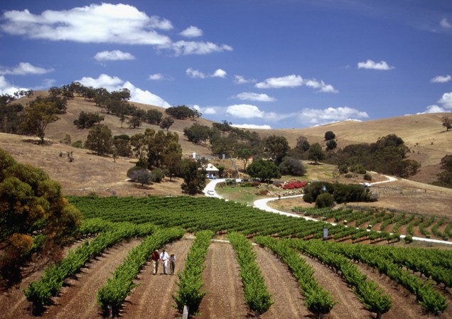 O Vale Barossa, localizado a 86 quilômetros de Adelaide, é a mais famosa região produtora de vinho do estado de South Australia, com mais de 50 vinícolas e adegas