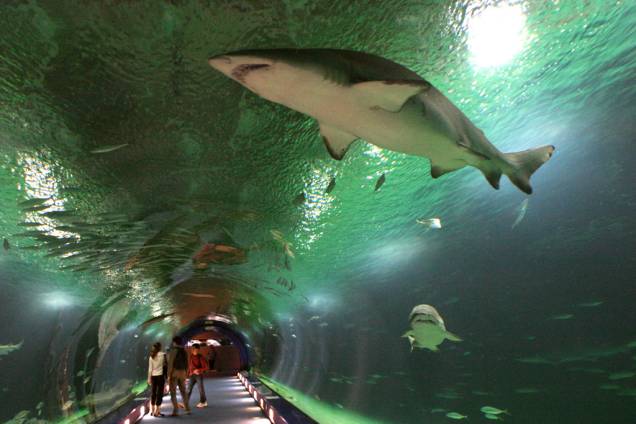 O impressionante aquário L’Oceanogràfic, na Cidade das Artes e das Ciências de Valência, é um dos maiores da Europa O impressionante aquário L’Oceanogràfic, na Cidade das Artes e das Ciências de Valência, é um dos maiores da Europa