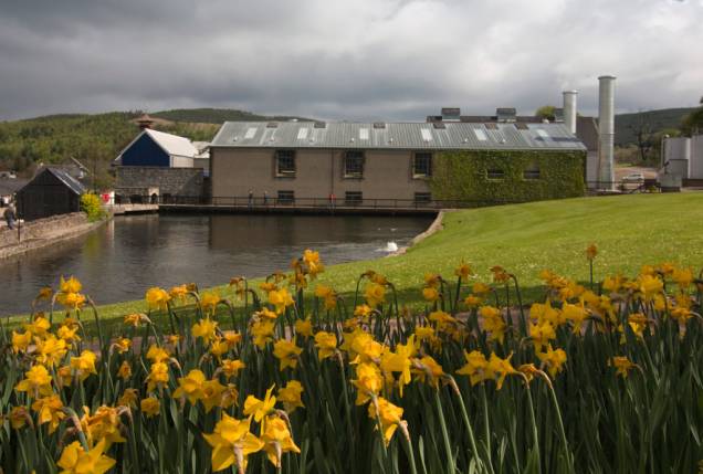Destilaria de uísque Glenmorangie, em <a href="http://viajeaqui.abril.com.br/cidades/reino-unido-highlands" rel="Highlands" target="_blank">Highlands</a>