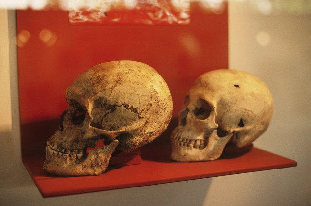 As peças do Museu Arqueológico de Sambaqui mostram o modo de vida dos grupos que habitaram o litoral brasileiro há mais de 2 mil anos