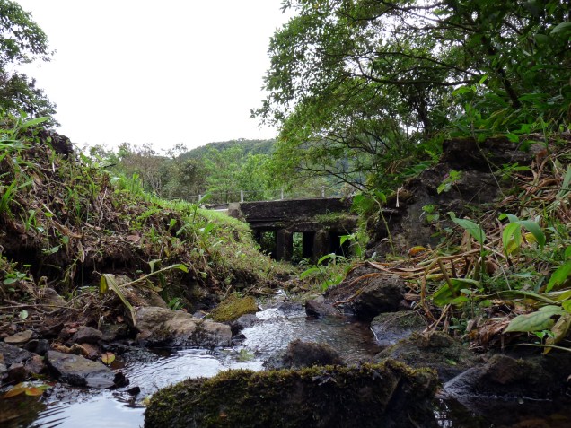 Essa estrada de 75 km de Salesópolis à estrada Rio-Santos entre as cidades praianas de Caraguatatuba (+10 km) e São Joaquim (+17 km). Ela é também conhecida como “Estrada da Petrobrás”, usada em algumas ocasiões por funcionários da empresa. Na maior parte do tempo, as bicicletas são os únicos veículos nessa rota que passa por dentro do <a href="https://viajeaqui.abril.com.br/estabelecimentos/br-sp-caraguatatuba-atracao-parque-estadual-da-serra-do-mar-nucleo-caraguatatuba" target="_blank">Parque Estadual da Serra do Mar</a>. No começo do trajeto, há subidas bastante íngremes, mas a estrada está em boas condições e, depois do primeiro terço do caminho, há muito mais descidas (e a bela vista da Serra do Mar em seu estado bruto) Essa estrada de 75 km de Salesópolis à estrada Rio-Santos entre as cidades praianas de Caraguatatuba (+10 km) e São Joaquim (+17 km). Ela é também conhecida como “Estrada da Petrobrás”, usada em algumas ocasiões por funcionários da empresa. Na maior parte do tempo, as bicicletas são os únicos veículos nessa rota que passa por dentro do <a href="https://viajeaqui.abril.com.br/estabelecimentos/br-sp-caraguatatuba-atracao-parque-estadual-da-serra-do-mar-nucleo-caraguatatuba" target="_blank">Parque Estadual da Serra do Mar</a>. No começo do trajeto, há subidas bastante íngremes, mas a estrada está em boas condições e, depois do primeiro terço do caminho, há muito mais descidas (e a bela vista da Serra do Mar em seu estado bruto)