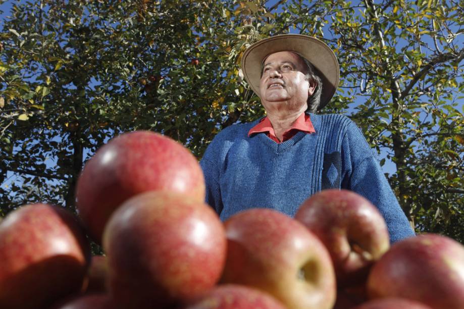 Da fruta mais produzida na região são preparados licores, geleias e chás