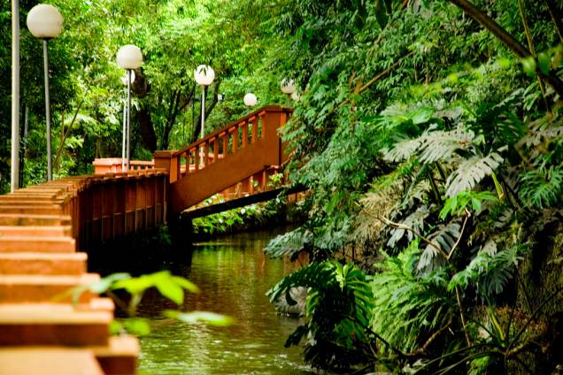 O Parque do Mirante fica em frente ao Rio Piracicaba, que corta a cidade, e dali é possível vislumbrar Piracicaba e a região ao subir no elevador turístico. Também há um aquário municipal e um café