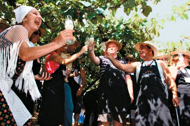 Turistas brindando com espumante na Festa da Vindima, atração da vinícola Casa Valduga, no Vale dos Vinhedos,  em Bento Gonçalves