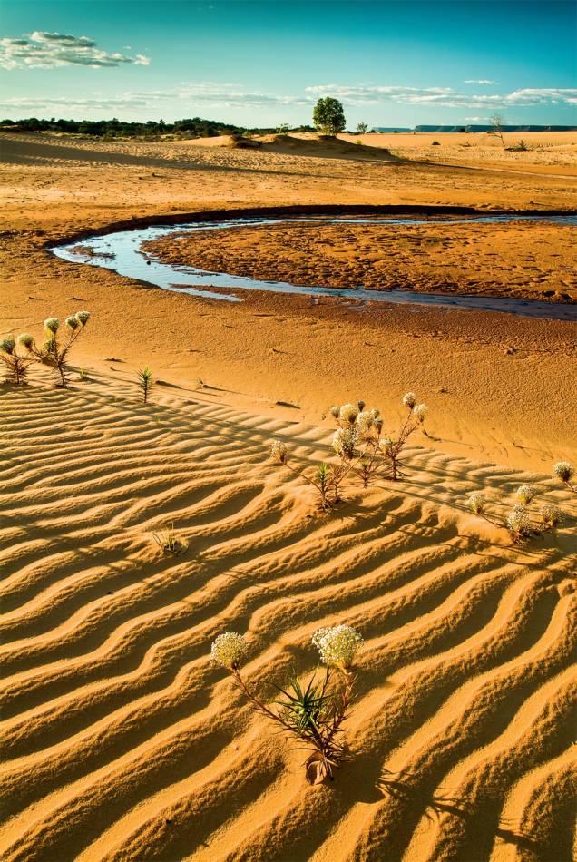 “O <strong>Vale da Morte</strong>, no Deserto do Atacama, no Chile, é uma das paisagens mais surreais do planeta. Resolvi fazer uma foto à altura.” — <strong>Aline Machado Coelho</strong>, São Paulo, SP “O <strong>Vale da Morte</strong>, no Deserto do Atacama, no Chile, é uma das paisagens mais surreais do planeta. Resolvi fazer uma foto à altura.” — <strong>Aline Machado Coelho</strong>, São Paulo, SP