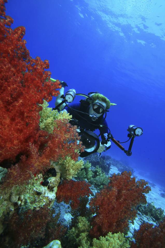 O Mar Vermelho, no Egito, é considerado um dos melhores pontos de mergulho do planeta, mas sofre com acelerado processo de degradação