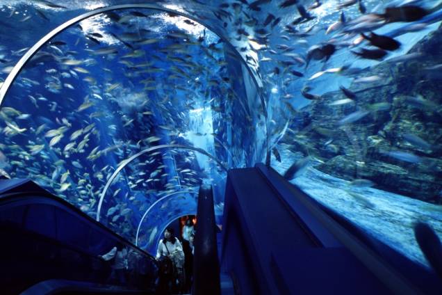 O complexo Hakkejima é um parque temático voltado à relação do Japão com o mar, incluindo aquários, shows e piscinas