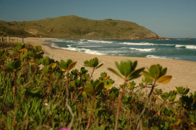 A Praia Silveira disputa com Ferrugem a preferência dos surfistas