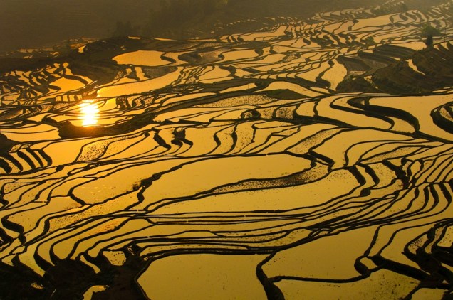 O arroz é uma das culturas agrícolas mais fundamentais da Ásia oriental. Não só uma fonte essencial de carboidratos, tornou-se também uma forma de pagamento. Os terraços alagados, próximos a Longsheng, são tanto um grande feito humano como uma visão espetacular