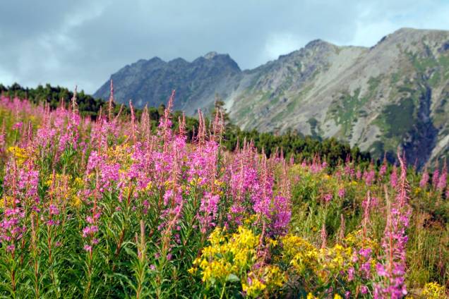 Donos de uma paisagem deslumbrante, os Montes Tatras são considerados como um parque nacional. Muitas de suas trilhas são percorridas por visitantes em busca de aventura 