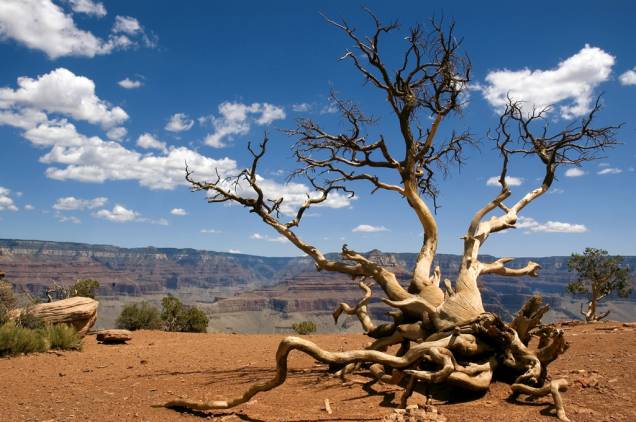 Os geógrafos estimam que o Grand Canyon começou a ser esculpido de 2,6 milhões a 10 milhões de anos atrás. Para cruzá-lo, turistas optam pelo trekking ou pela travessia de carro, feita a partir da Navajo Bridge
