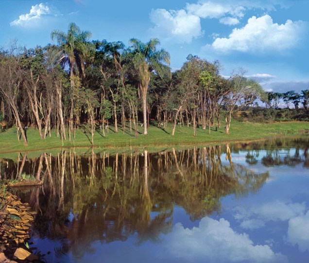 Represa do Chibarro no Parque Ecoespotivo Damha