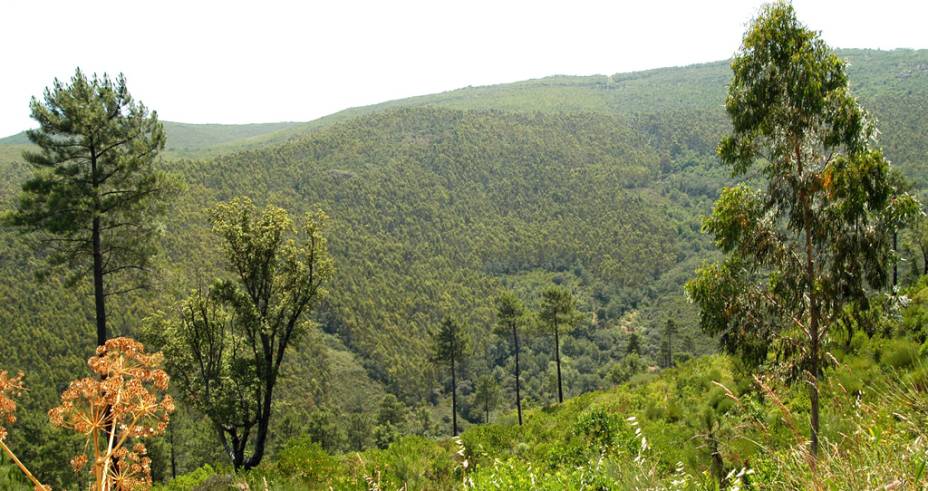 Sierra de Francia, em Salamanca