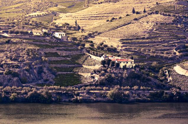 Vínicola na margem do Douro
