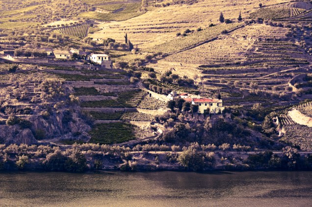 Vínicola na margem do Douro