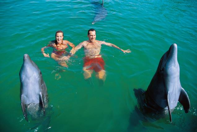 Em diversos parques aquáticos e resorts de Cancún é possivel nada com golfinhos