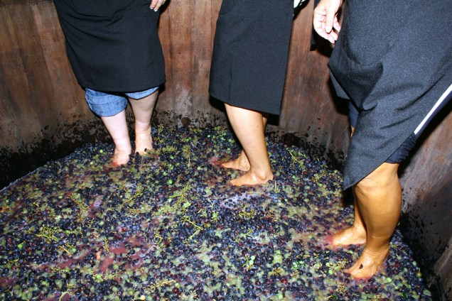 Pessoas pisoteando uva numa mastela, vasília de madeira, na vinícola Luiz Valduga & Filho, no Vale dos Vinhedos