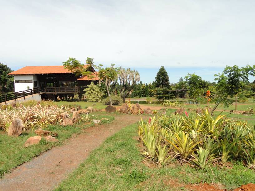 <strong>12. Jardim Botânico de Brasília</strong>O primeiro jardim Botânico do Brasil com um ecossistema predominante de cerrado. Tem quase 4.500 hectares, porém só 500 deles estão abertos a visitação. No Jardim Botânico é possível conhecer as flores e frutas típicas do cerrado, fazer trilha educativa de 4.500 metros e caminhar pelas diversas atrações, como o Museu de História Natural, a Casa de Chá, o Bosque dos Ipês (especialmente belo durante a floração, no inverno), o orquidário Espaço Guido Pabst, entre outros.<strong>Entrada a 5 reais, </strong>crianças até 12 anos, mais de 60 anos e pessoas com deficiência não pagam.<strong>Horários de visitação:</strong> de terça a domingo de 6h30 às 17h (de 6h30 às 8h50 o acesso é gratuito e restrito a pedestres e ciclistas)