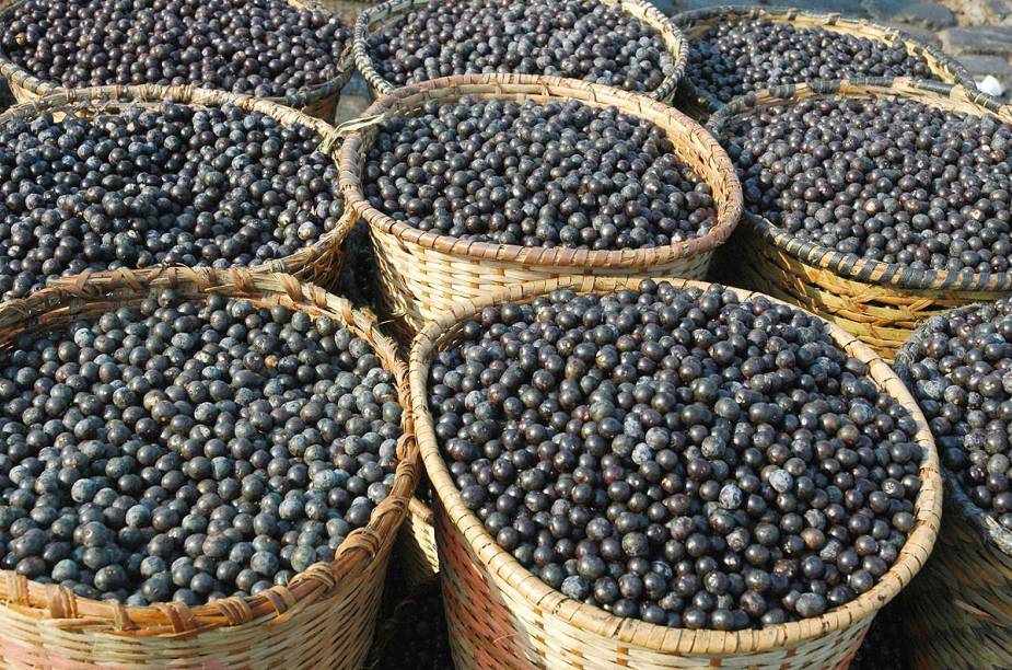 Açaí - um dos produtos originários da Amazônia que a cidade de Belém propagou para o Brasil e para o mundo - pode ser visto aos barris no <a href="https://viajeaqui.abril.com.br/estabelecimentos/br-pa-belem-atracao-mercado-ver-o-peso" rel="Mercado Ver-o-Peso" target="_blank">Mercado Ver-o-Peso</a> Açaí - um dos produtos originários da Amazônia que a cidade de Belém propagou para o Brasil e para o mundo - pode ser visto aos barris no <a href="https://viajeaqui.abril.com.br/estabelecimentos/br-pa-belem-atracao-mercado-ver-o-peso" rel="Mercado Ver-o-Peso" target="_blank">Mercado Ver-o-Peso</a>