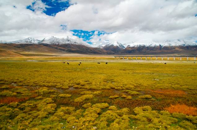 O lago Namtso, no Tibete, é considerado um dos mais belos da região. Ao seu redor pastores nômades vivem em extensas pradarias protegida pelos contrafortes de alta-montanha