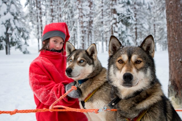 Rovaniemi, na Lapônia, norte da Finlândia, é o "lar" do Papai Noel, com casa de elfos e tudo mais. Além de snowmobiles e hotéis de gelo, uma das atividades mais divertidas da região é fazer passeios com trenós puxados por cães