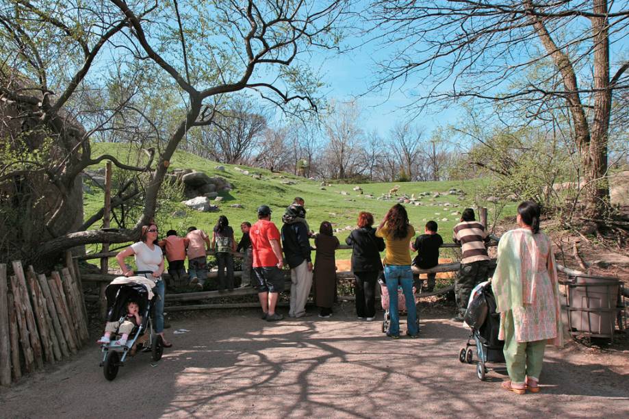 Considerado o maior zoológico urbano do mundo, <a href="https://viajeaqui.abril.com.br/estabelecimentos/estados-unidos-nova-york-atracao-bronx-zoo" rel="Bronx Zoo" target="_blank">Bronx Zoo</a> abriga mais de 600 espécies animais, como mamíferos, anfíbios, insetos e peixes Considerado o maior zoológico urbano do mundo, <a href="https://viajeaqui.abril.com.br/estabelecimentos/estados-unidos-nova-york-atracao-bronx-zoo" rel="Bronx Zoo" target="_blank">Bronx Zoo</a> abriga mais de 600 espécies animais, como mamíferos, anfíbios, insetos e peixes