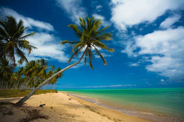 Uma das maiores estrelas de <a href="http://viajeaqui.abril.com.br/estados/br-alagoas" target="_blank">Alagoas</a> é a <a href="http://viajeaqui.abril.com.br/estabelecimentos/br-al-sao-miguel-dos-milagres-atracao-praia-patacho">praia do Patacho</a>. Apesar de ser de fácil acesso, ela é quase deserta. Da praia, você vê um mar verde-água. E quando você está dentro da água, ela está totalmente transparente. A areia do fundo do mar é tão plana que é possível caminhar quilômetros para longe da costa quando a maré está baixa