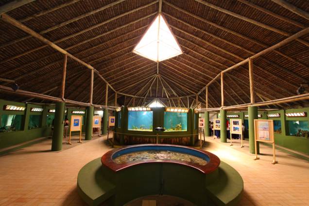 Cinco aquários de água doce, onde vivem peixes do São Francisco, e 11 de água salgada fazem a festa das crianças no Oceanário de Aracaju