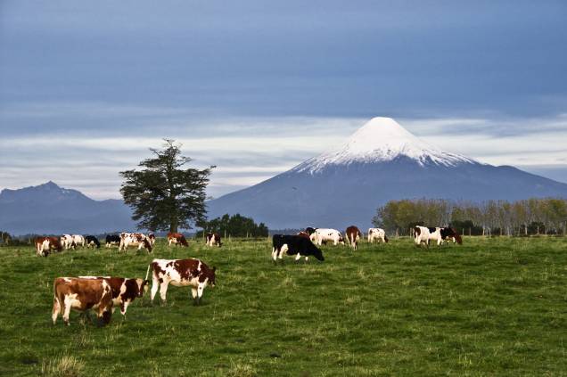 Vulcão Osorno na cidade de Puerto Varas, na Patagônia Chilena, Chile
