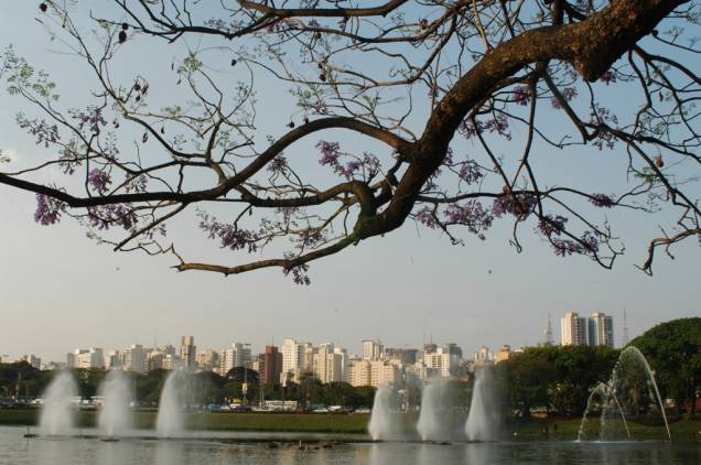 Projetado por Oscar Niemeyer, o Parque do Ibirapuera é bom para quem quer se exercitar, relaxar ou curtir um programa cultural